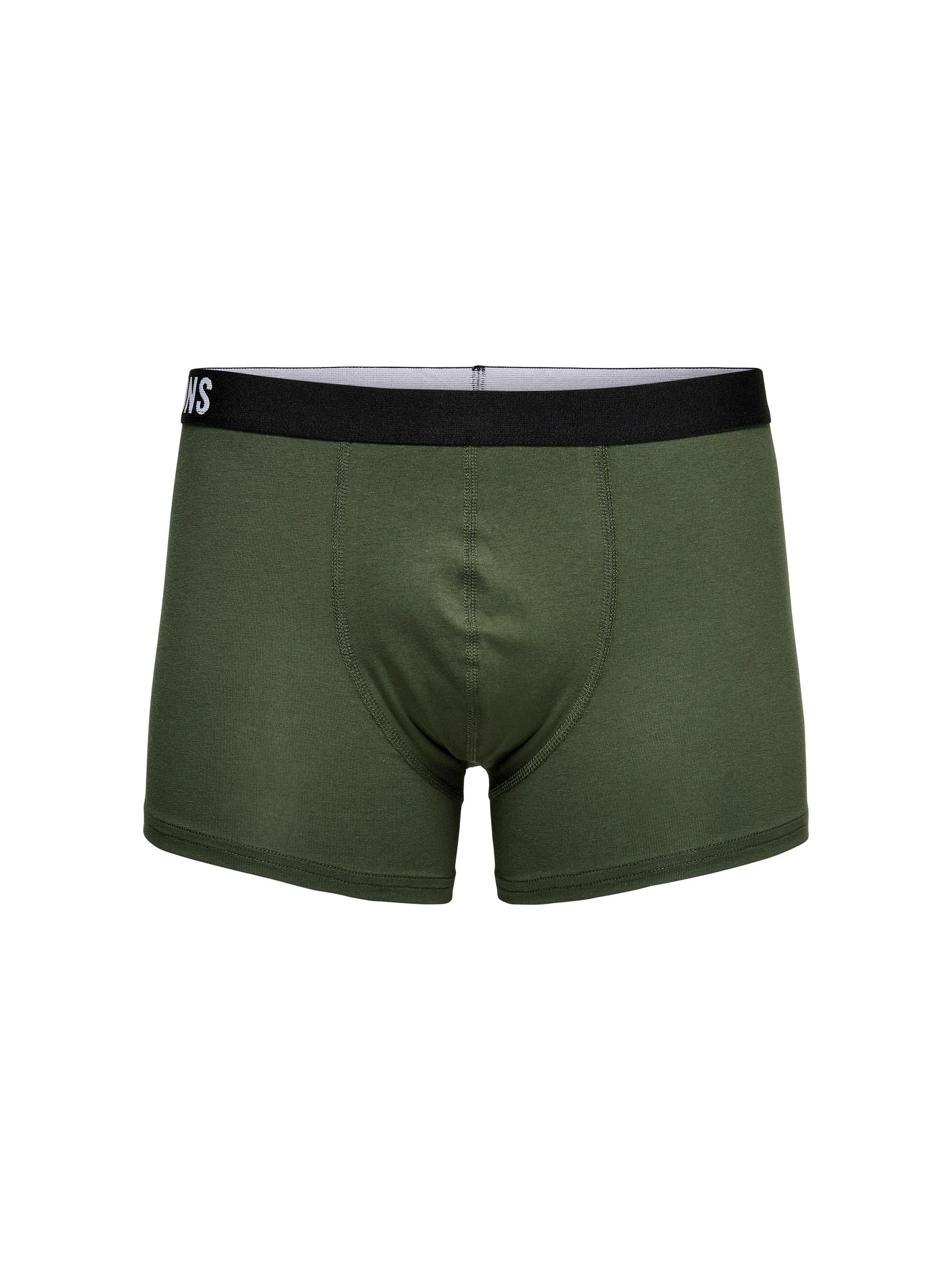 Boxer OS Fitz 22021059