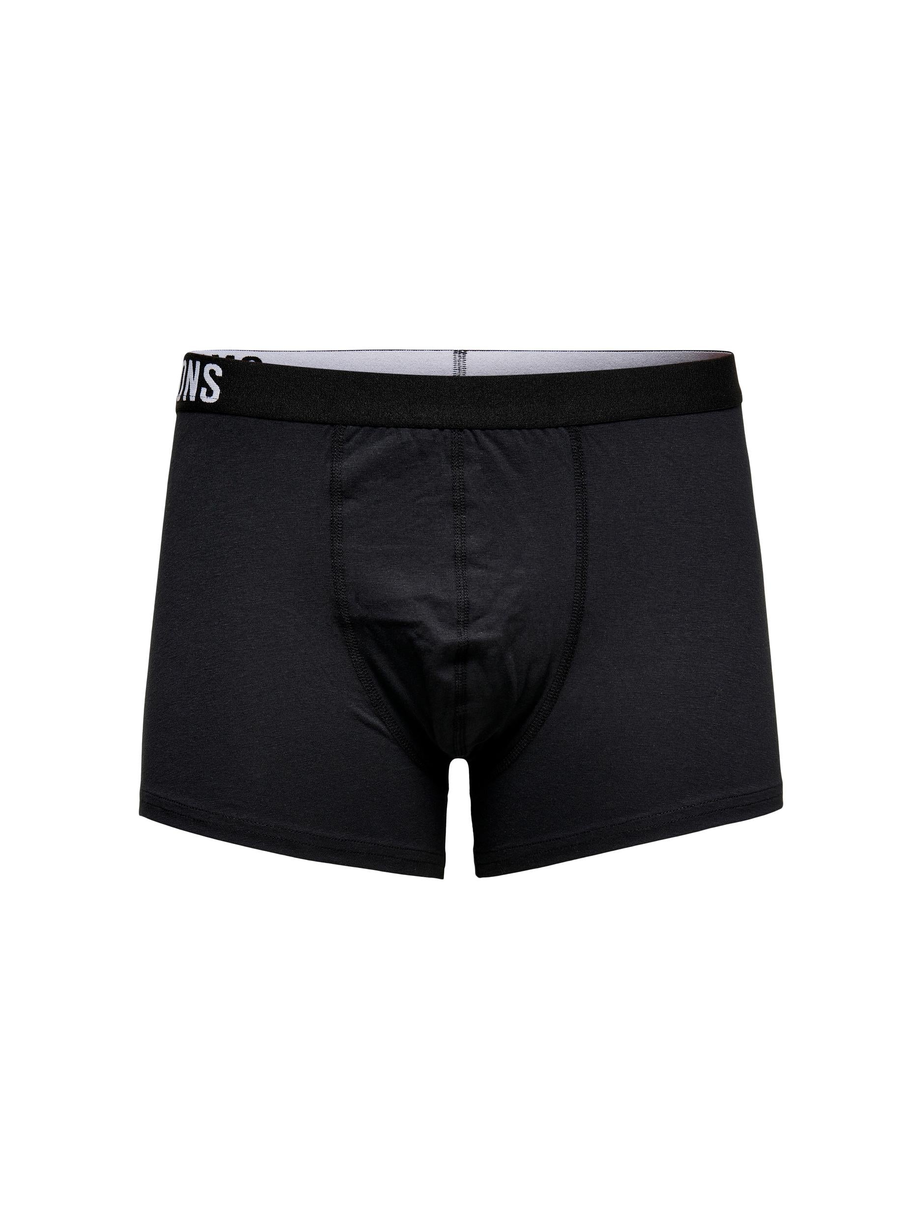 Boxer OS Fitz 22021059