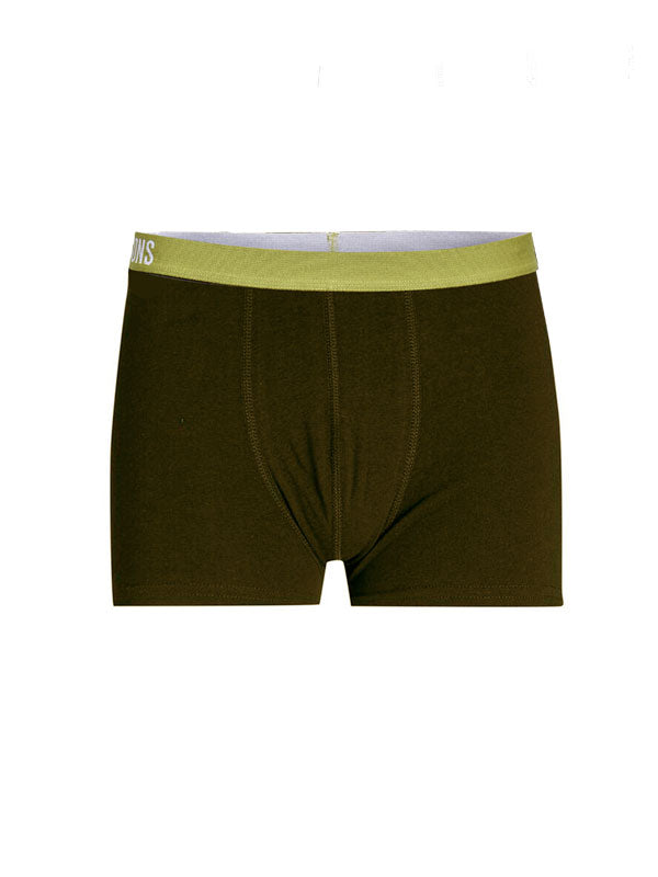 Boxer OS Staricl 22022282